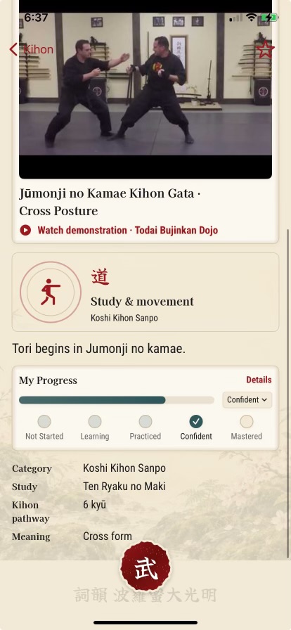 Technique demonstration and progress screen